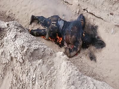 Daesh bodies burning in a ditch