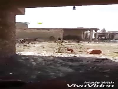 Moment that Iraqi soldier takes a shot at the head of a sniper