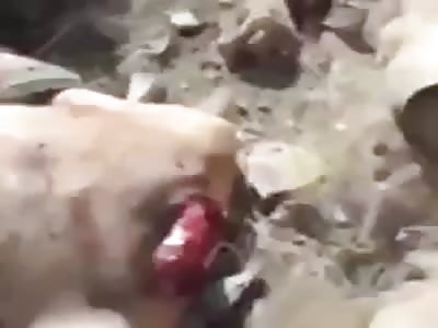  Turkish Army soldiers behead Kurdish militants 