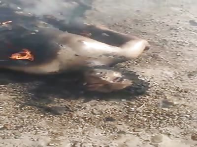 Burning the isis viruse (video 1 of 6)
