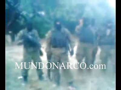Video where The Gulf Cartel cuts a Zeta and claims a massacre of San Fernando, Tamaulipas