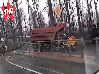 a tree killed two Russian youths 