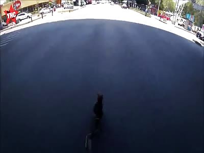 Mexican  Cyclist risks his life to save dog [would you do this ?]