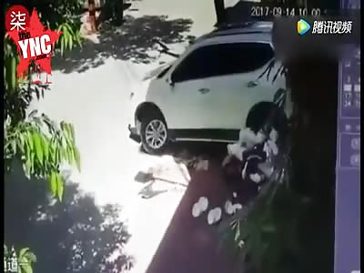 female driver gets crushed
