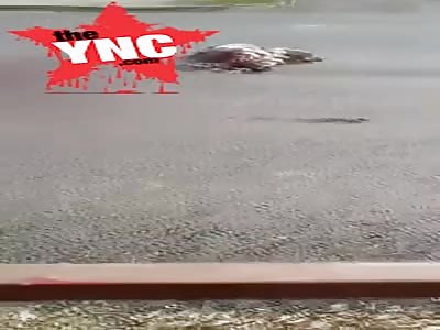 no one seems to care there is a  elderly dead woman in the middle of the road in Russia 