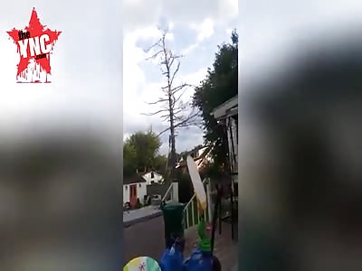 in Hamilton, Canada a lumberjack is smashed on head by a tree