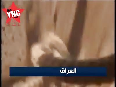  suicide attack  in western Iraq were  tv station reporters from [Al Mayadeen] was near by @0:27