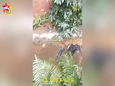  14-year-old girl jumped from the seventh floor in Sichuan 