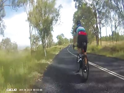 Queensland cyclist crashes into aroo