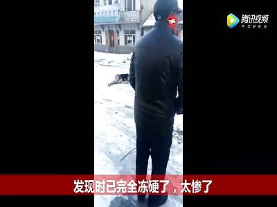 youth froze to death in Harbin