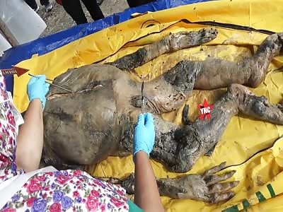 autopsy of a rotten dead body in Indonesia 