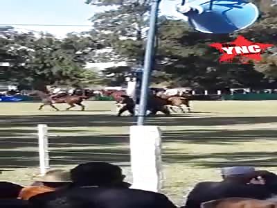 horse accident in  Argentina.