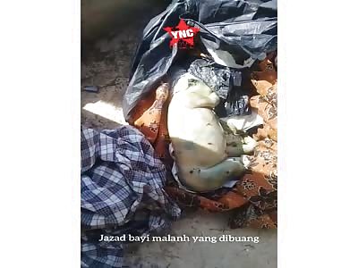 rotting baby   was found in a pile of rubbish