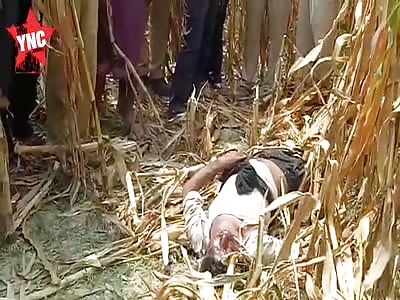 man killed    In Chhaura at a corn farm