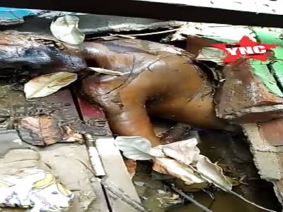 body found in Kalimantan, Kalimantan Barat