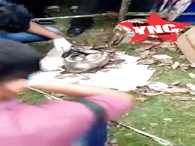 dead rotting baby discovery   in Bogor