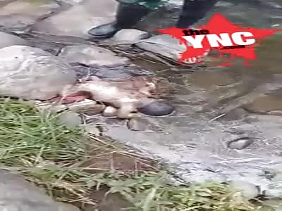 The discovery of a dead baby in the pageraji village of Maja sub-district.