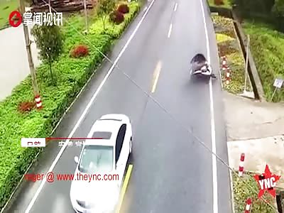 dog vs electric car accident in Anhui 