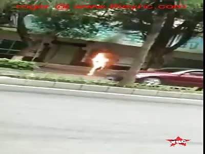 [video 2] a zebra crossing protest suicide by fire in Guangdong
