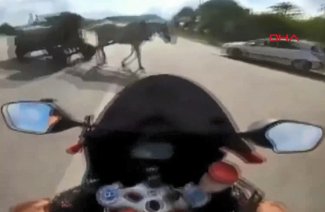 When Bikers and Horses Collide
