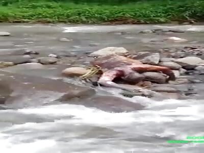 The discovery of a dead fisherman in Cianjur