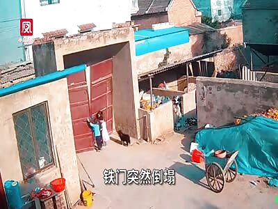 Iron door falls onto children in Henan