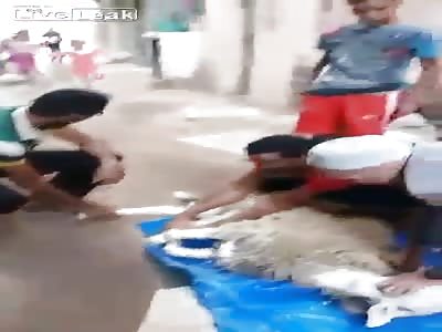 Sheep runs off before butcher can finish the job
