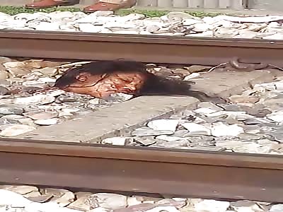 This Woman Suicide Under the Railway Track