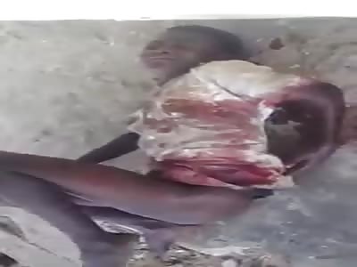 Cameroon Army Killed Woman