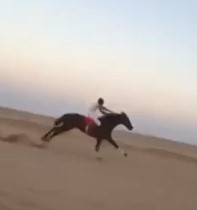 Heartbreaking Moment Horse Breaks its Legs During Race
