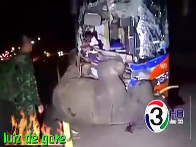 truck running over an elephant trying to cross the road