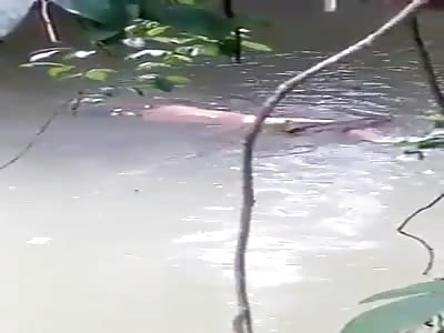 Naked man got killed by a crocodile