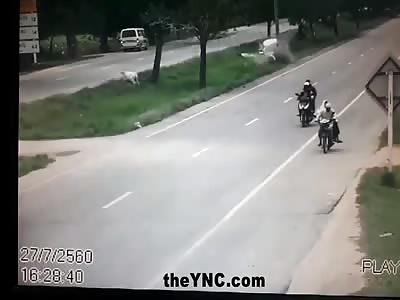 Passenger gets thrown out of the back of a pickup