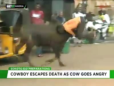 Man attacked by a cow