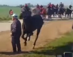 Damn! Man Gets Trampled to Death by Horses