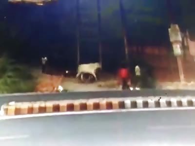 CCTV of Man Beaten to Death on the Roadside (Full Video)