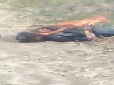 Thief Still Burning After Getting Lynched by the Public