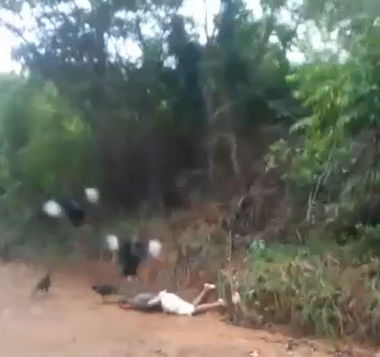 Feeding Jungle Vultures , Shotgun Execution Aftermath