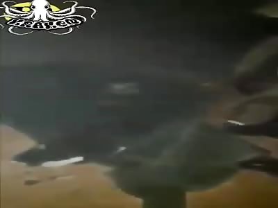 shocking video, airstrike victims
