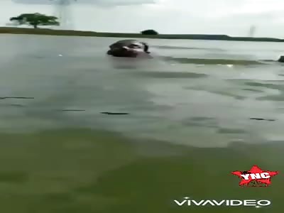 Crocodile Attacks 2 Men Who Were Bathing in the River.