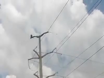 Suicide launches from electric light tower