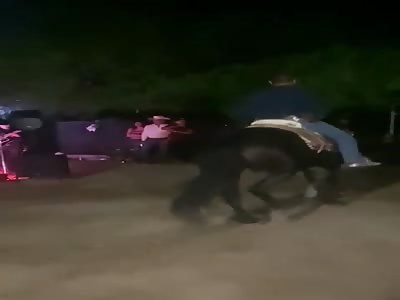 Man attacked by dancing horse
