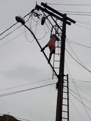 Electrocuted Trying to Catch Pigeons
