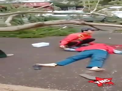 Man dies after a tree falls on him