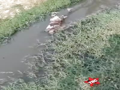 Corpse found in water