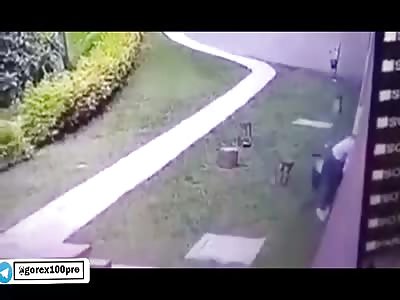 Woman is attacked by pitbull