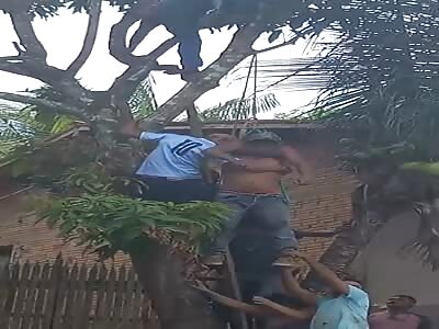 Man hanging on tree