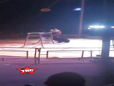 Bear attack in circus show