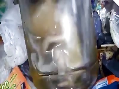 baby is found among the trash in a glass container
