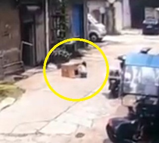 Kid playing inside a box is crushes by a car 